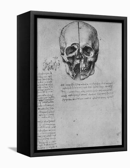 'Drawing of Two Halves of a Skull', c1480 (1945)-Leonardo Da Vinci-Framed Stretched Canvas