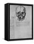 'Drawing of Two Halves of a Skull', c1480 (1945)-Leonardo Da Vinci-Framed Stretched Canvas