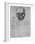 'Drawing of Two Halves of a Skull', c1480 (1945)-Leonardo Da Vinci-Framed Giclee Print