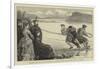 Drawing the Net at Loch Brora, a Sketch During the Queen's Visit to Dunrobin-Francis S. Walker-Framed Giclee Print