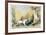 Drawing the Wood-Frank Wootton-Framed Limited Edition