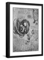 'Drawings of an Embryo in the Uterus', c1480 (1945)-Leonardo Da Vinci-Framed Giclee Print