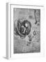 'Drawings of an Embryo in the Uterus', c1480 (1945)-Leonardo Da Vinci-Framed Giclee Print