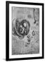 'Drawings of an Embryo in the Uterus', c1480 (1945)-Leonardo Da Vinci-Framed Giclee Print