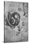 'Drawings of an Embryo in the Uterus', c1480 (1945)-Leonardo Da Vinci-Stretched Canvas