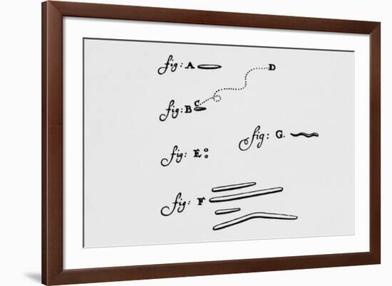 Drawings of Animalcules Form Leeuwenhoek's Letter-Jeremy Burgess-Framed Photographic Print