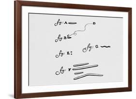 Drawings of Animalcules Form Leeuwenhoek's Letter-Jeremy Burgess-Framed Photographic Print