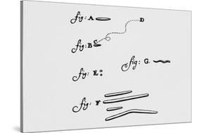 Drawings of Animalcules Form Leeuwenhoek's Letter-Jeremy Burgess-Stretched Canvas