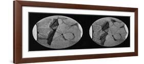 Drawings of Mars Showing its 'Canals' and Polar Ice Caps, 1907-null-Framed Giclee Print