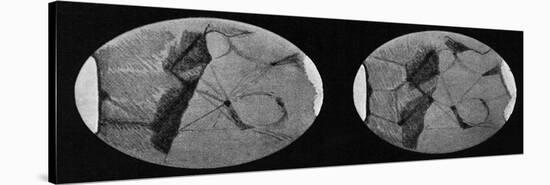 Drawings of Mars Showing its 'Canals' and Polar Ice Caps, 1907-null-Stretched Canvas