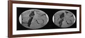 Drawings of Mars Showing its 'Canals' and Polar Ice Caps, 1907-null-Framed Giclee Print