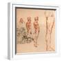 Drawings showing the movements of the human figure and warriors fighting, c1472-c1519 (1883)-Leonardo Da Vinci-Framed Giclee Print