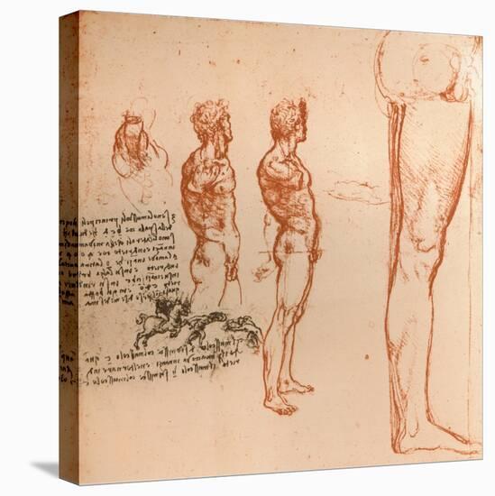 Drawings showing the movements of the human figure and warriors fighting, c1472-c1519 (1883)-Leonardo Da Vinci-Stretched Canvas