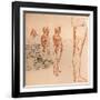 Drawings showing the movements of the human figure and warriors fighting, c1472-c1519 (1883)-Leonardo Da Vinci-Framed Giclee Print