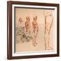 Drawings showing the movements of the human figure and warriors fighting, c1472-c1519 (1883)-Leonardo Da Vinci-Framed Giclee Print