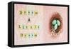 Dream a Little Dream Baby-Vicki Dvorak-Framed Stretched Canvas