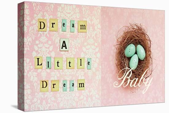 Dream a Little Dream Baby-Vicki Dvorak-Stretched Canvas