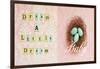 Dream a Little Dream Baby-Vicki Dvorak-Framed Art Print