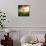 Dream About Home-Nermin Smaji?-Stretched Canvas displayed on a wall