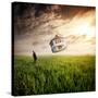 Dream About Home-Nermin Smaji?-Stretched Canvas