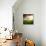 Dream About Home-Nermin Smaji?-Stretched Canvas displayed on a wall