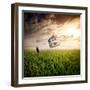 Dream About Home-Nermin Smaji?-Framed Premium Photographic Print