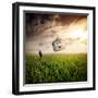 Dream About Home-Nermin Smaji?-Framed Premium Photographic Print