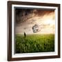 Dream About Home-Nermin Smaji?-Framed Photographic Print