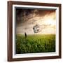 Dream About Home-Nermin Smaji?-Framed Photographic Print