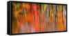 Dream and reality-Marco Carmassi-Framed Stretched Canvas