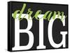 Dream Big 1-Leslie Wing-Framed Stretched Canvas