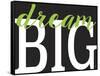 Dream Big 1-Leslie Wing-Framed Stretched Canvas