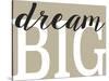 Dream Big 2-Leslie Wing-Stretched Canvas