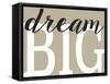 Dream Big 2-Leslie Wing-Framed Stretched Canvas
