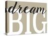 Dream Big 2-Leslie Wing-Stretched Canvas