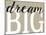 Dream Big 2-Leslie Wing-Mounted Giclee Print