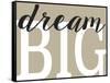 Dream Big 2-Leslie Wing-Framed Stretched Canvas