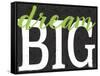 Dream Big Color Black Bk Distressed Treatment-Leslie Wing-Framed Stretched Canvas