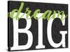 Dream Big Color Black Bk Distressed Treatment-Leslie Wing-Stretched Canvas