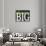 Dream Big Color Black Bk Distressed Treatment-Leslie Wing-Giclee Print displayed on a wall