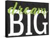 Dream Big Color Black Bk Distressed Treatment-Leslie Wing-Framed Stretched Canvas