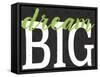 Dream Big Color Black Bk Distressed Treatment-Leslie Wing-Framed Stretched Canvas