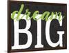 Dream Big Color Black Bk Distressed Treatment-Leslie Wing-Framed Giclee Print