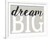 Dream Big Distressed Treatment-Leslie Wing-Framed Giclee Print