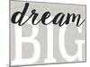 Dream Big Distressed Treatment-Leslie Wing-Mounted Giclee Print