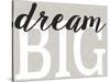 Dream Big Distressed Treatment-Leslie Wing-Stretched Canvas