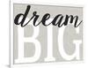 Dream Big Distressed Treatment-Leslie Wing-Framed Giclee Print