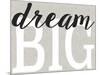 Dream Big Distressed Treatment-Leslie Wing-Mounted Giclee Print