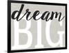 Dream Big Distressed Treatment-Leslie Wing-Framed Giclee Print