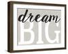 Dream Big Distressed Treatment-Leslie Wing-Framed Giclee Print